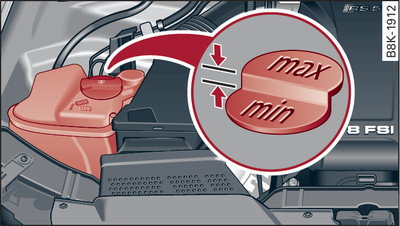 Compartimento del motor: Marcas en el depósito de expansión del líquido refrigerante